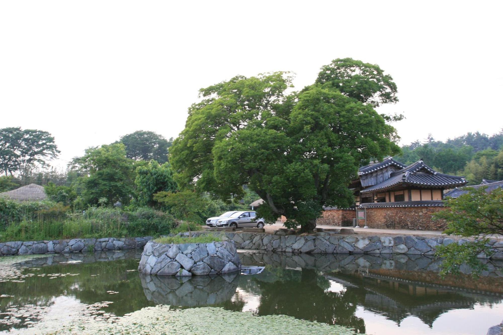 Jinrae Lee'S Traditional House Boseong Exteriér fotografie